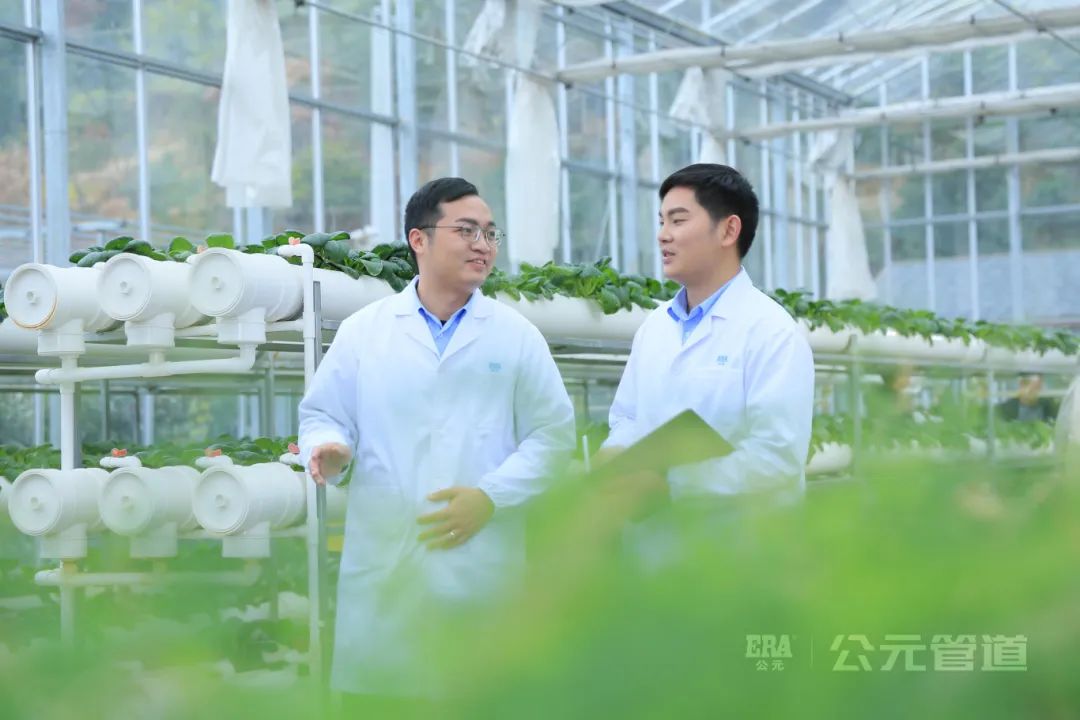 5001拉斯维加斯(中国游)有限公司-BinG百科